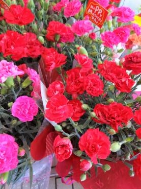 本日は母の日｜「ポピー」　（京都府八幡市の花キューピット加盟店 花屋）のブログ