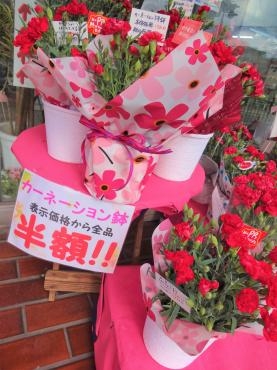 母の日終わりました。カーネーション鉢を半額で販売中です。｜「ポピー」　（京都府八幡市の花キューピット加盟店 花屋）のブログ