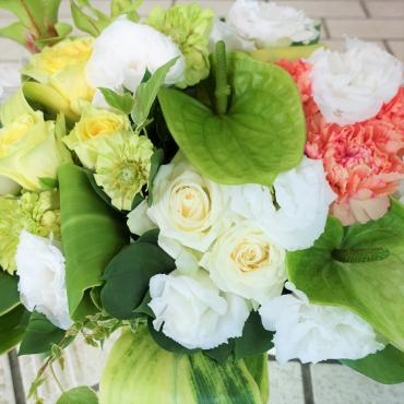 今週、所用で鉢物仕入れ飛ばします。｜「ポピー」　（京都府八幡市の花キューピット加盟店 花屋）のブログ