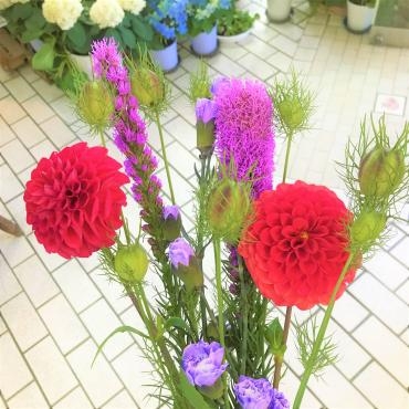 初夏の花達｜「ポピー」　（京都府八幡市の花キューピット加盟店 花屋）のブログ