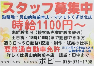 スタッフ募集中｜「ポピー」　（京都府八幡市の花キューピット加盟店 花屋）のブログ