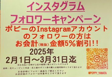 インスタグラムフォロワーキャンペーンやってます｜「ポピー」　（京都府八幡市の花キューピット加盟店 花屋）のブログ