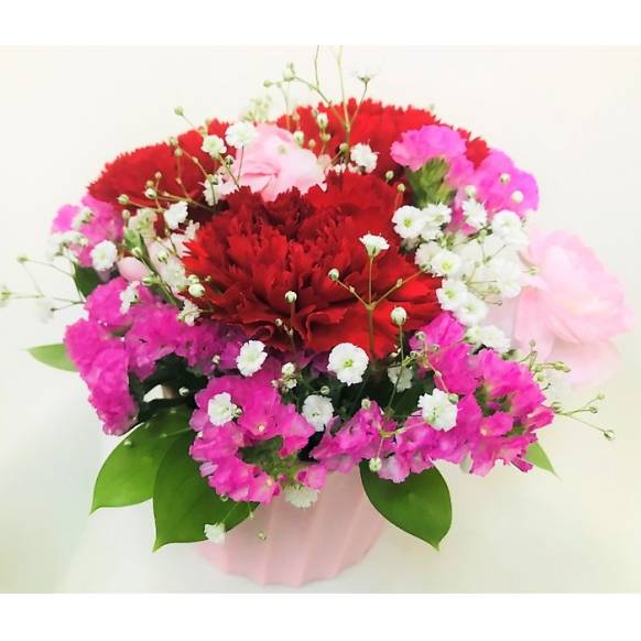 母の日用カーネーション赤のアレンジメント