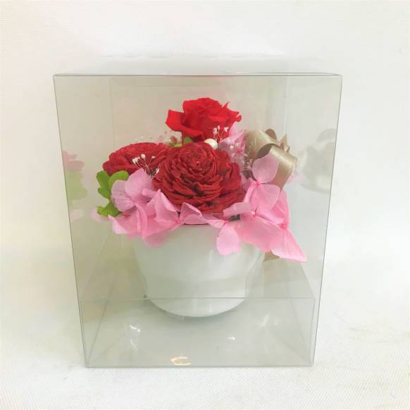 赤バラのプリザーブドフラワー白陶器　クリアケース付き
