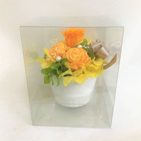 オレンジバラのプリザーブドフラワー白陶器　クリアケース付き